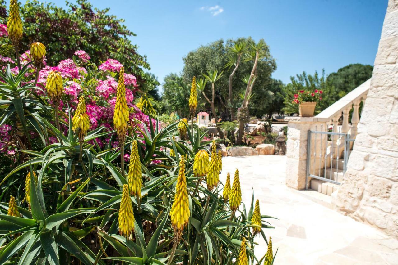 Agriturismo Grotta Di Figazzano تْشيستيرنِنو المظهر الخارجي الصورة