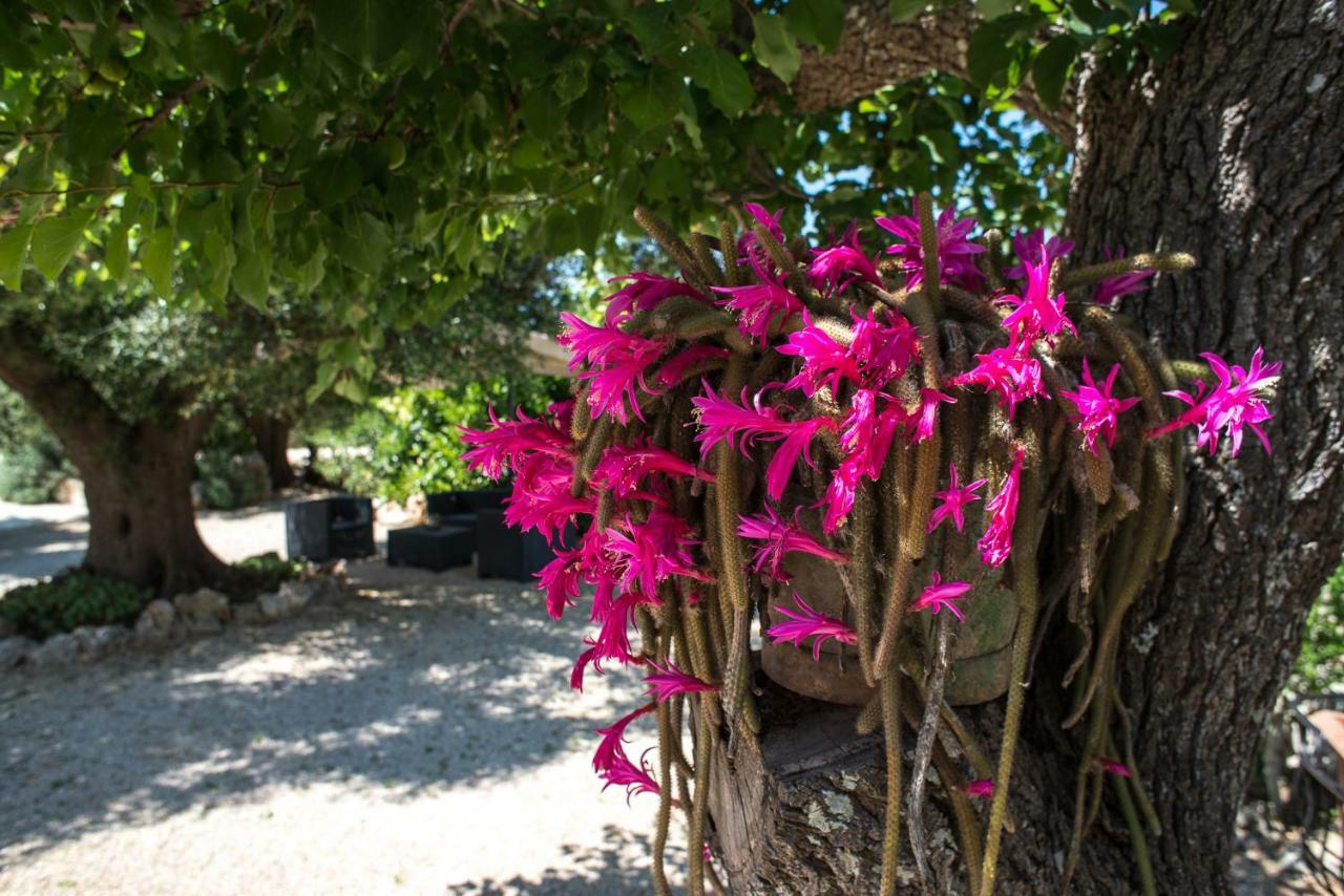 Agriturismo Grotta Di Figazzano تْشيستيرنِنو المظهر الخارجي الصورة