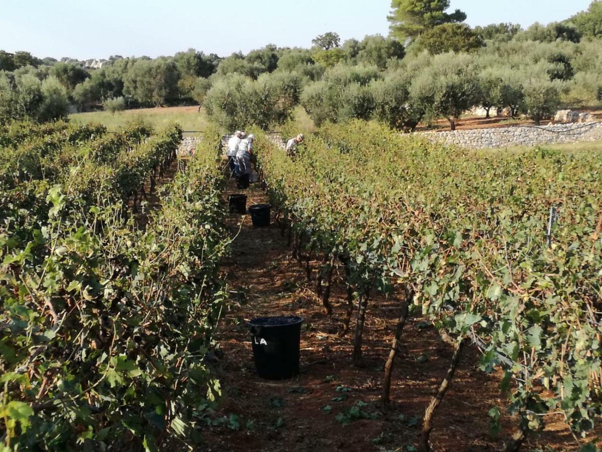 Agriturismo Grotta Di Figazzano تْشيستيرنِنو المظهر الخارجي الصورة