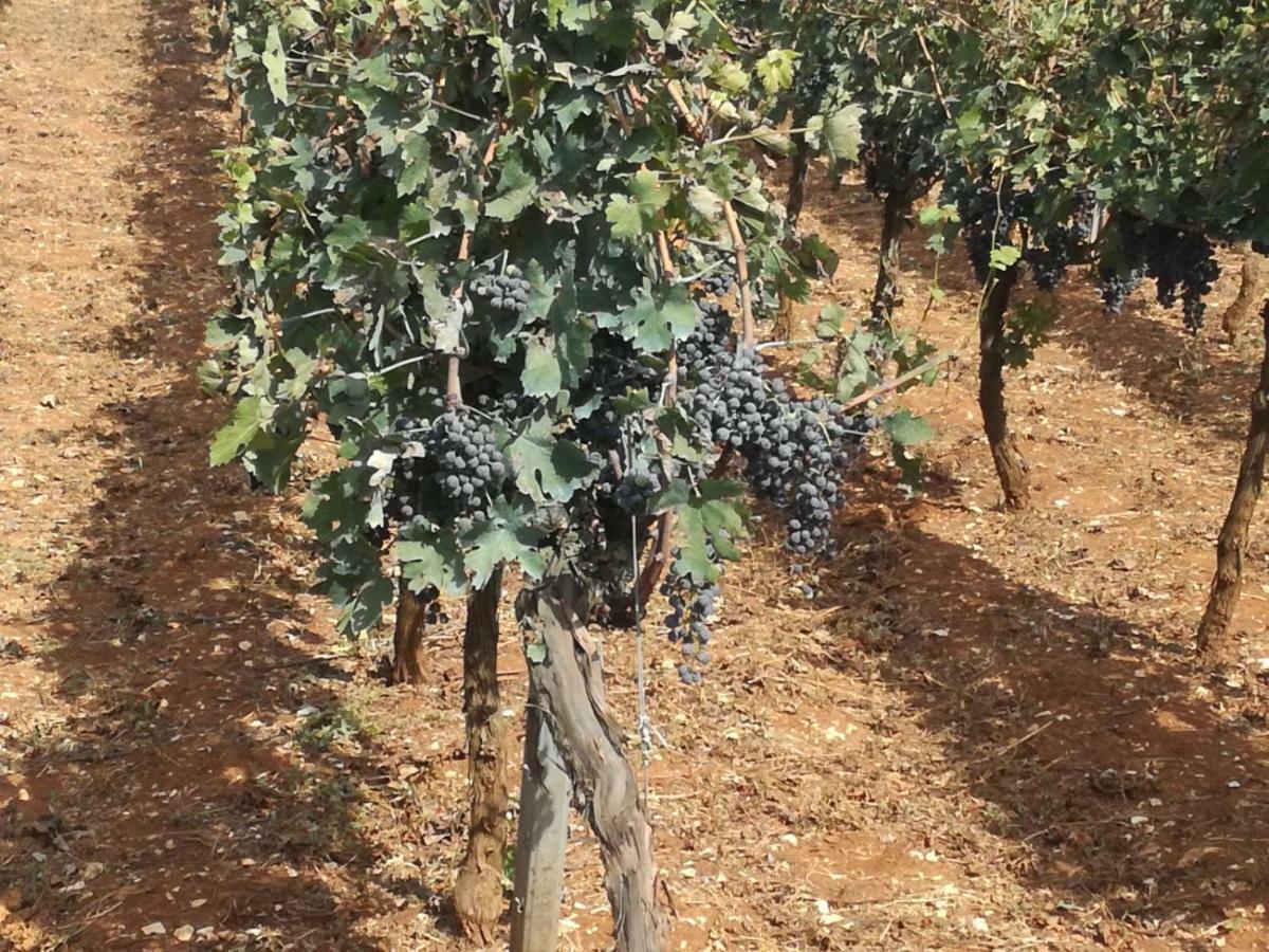 Agriturismo Grotta Di Figazzano تْشيستيرنِنو المظهر الخارجي الصورة