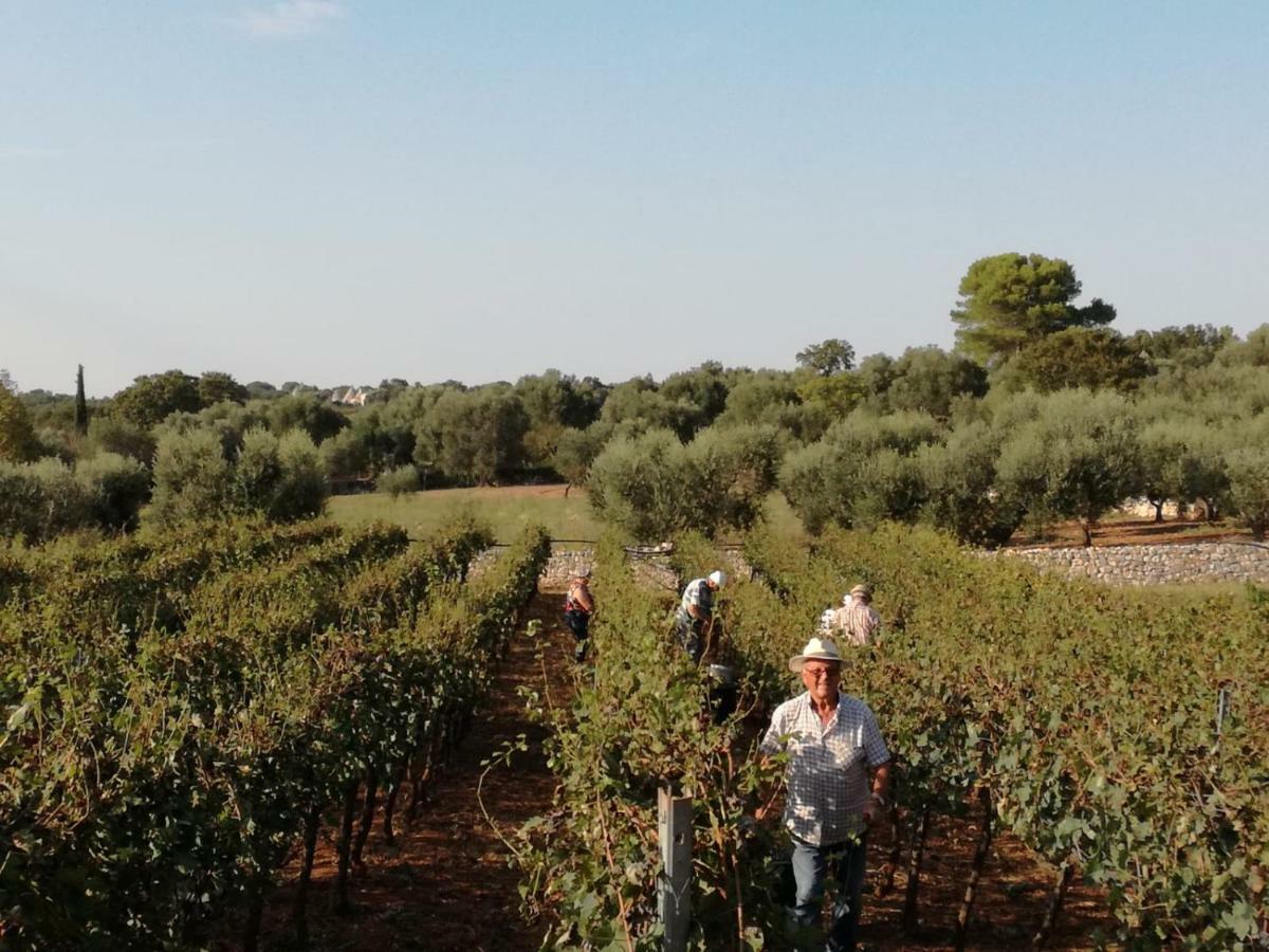 Agriturismo Grotta Di Figazzano تْشيستيرنِنو المظهر الخارجي الصورة